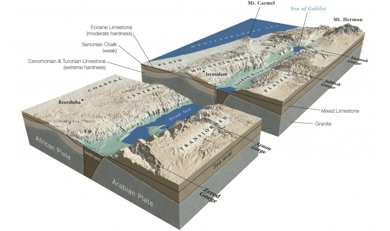 Schematic of the Dead Sea Fault (Source: https://thenaturalhistorian.com)